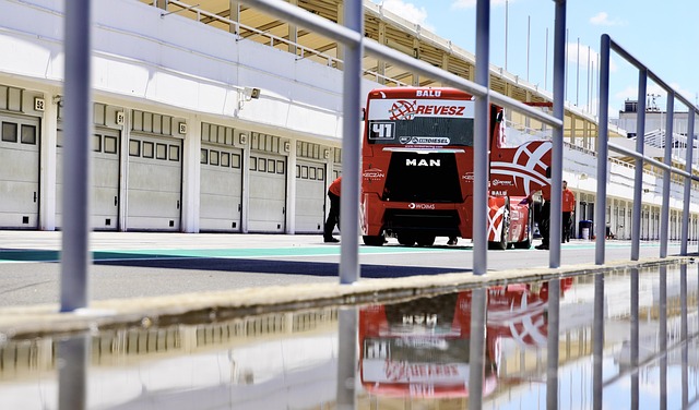 化和策略的 化和策略的