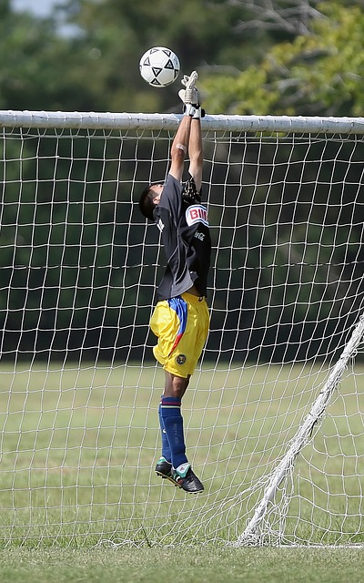 自我掌控和 自我掌控和