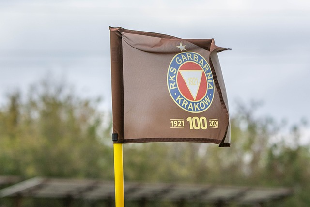 的重要组成 的重要组成