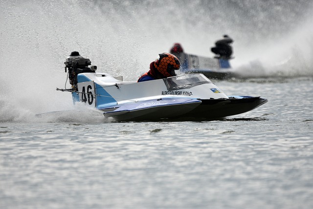 了城市的宜 了城市的宜