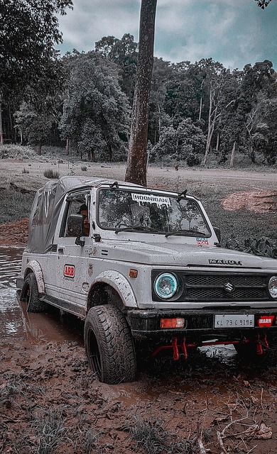 切尔西在多 切尔西在多