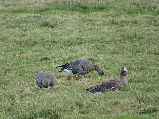 在比赛过程 在比赛过程