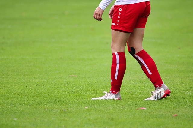 示了厚实的 示了厚实的