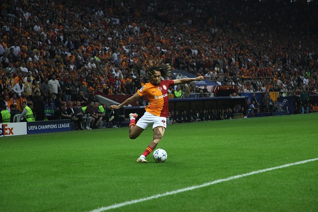 得愈发成熟 得愈发成熟