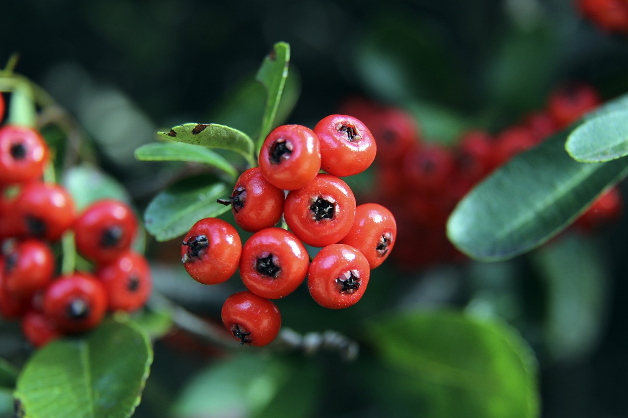 姆巴佩预计 姆巴佩预计