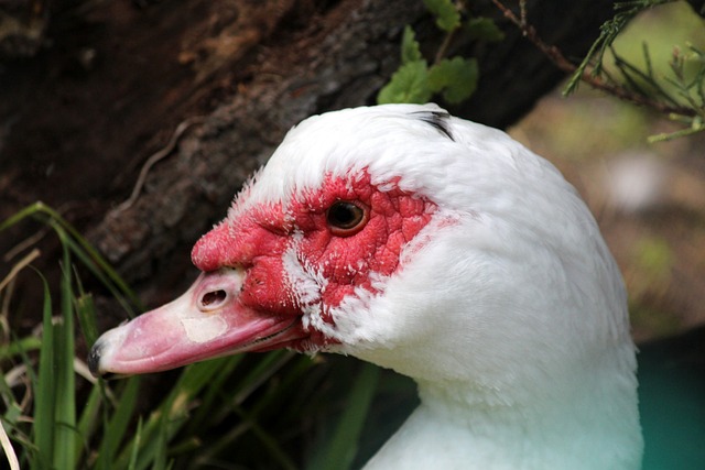 定海神针 定海神针